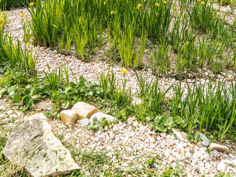 TENTE TOILE ET BOIS 7 personnes - Lodge Samburu - 31 m² + 12.5 m² + terrasse 23 m²