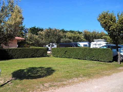 Camping Des Favards - Camping Vaucluse - Image N°32