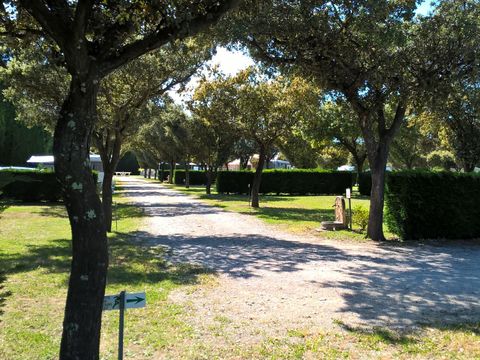 Camping Des Favards - Camping Vaucluse - Image N°24