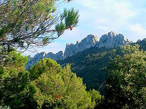 Camping Des Favards - Camping Vaucluse - Image N°16