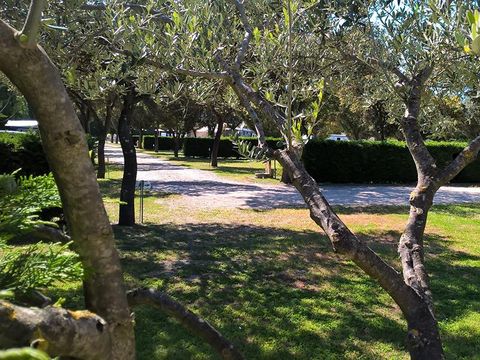 Camping Des Favards - Camping Vaucluse - Image N°20