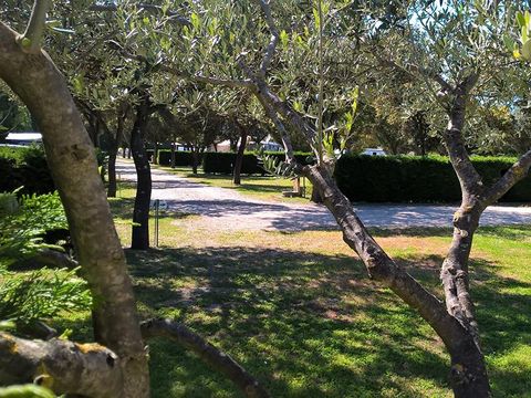 Camping Des Favards - Camping Vaucluse - Image N°26