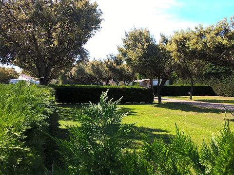 Camping Des Favards - Camping Vaucluse - Image N°23
