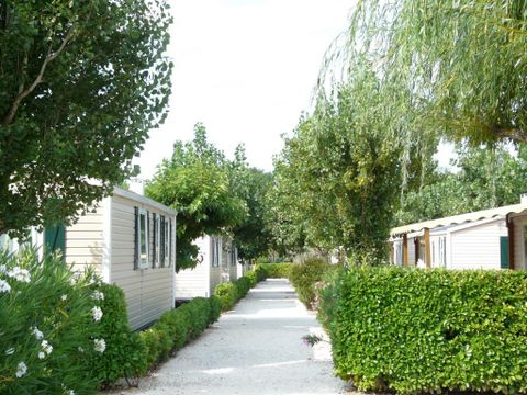 MOBILHOME 4 personnes -  PARADIS deux chambres  30 m², avec sanitaires