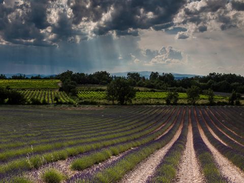 Camping Les Amarines - Camping Paradis - Camping Gard - Image N°37