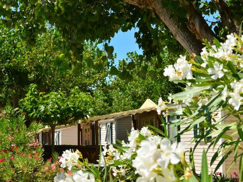 Camping Les Amarines - Camping Paradis - Camping Gard - Image N°41