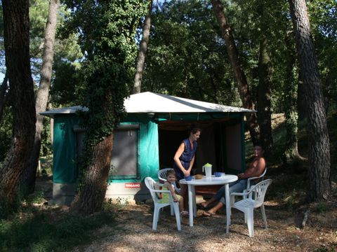 BUNGALOW TOILÉ 4 personnes - BASILIC