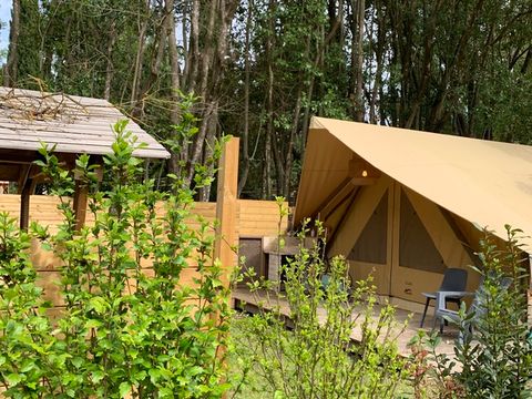 LODGE 3 personnes - Lodge Central 24m² - 1 chambre - coin cuisine - salle d'eau - Hébergement de plain pied accessible PMR