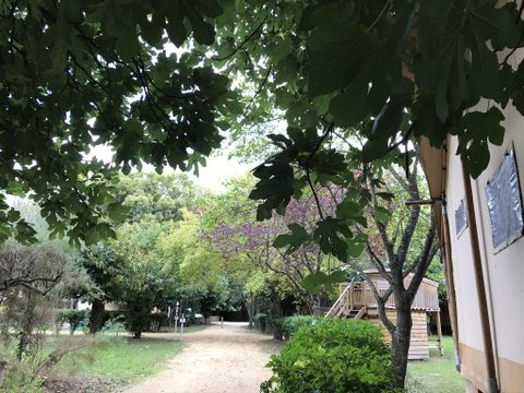 CHALET 2 personnes - Cabane Etoilée - avec WC et lave-mains - micro cuisine sans eau - sans douche