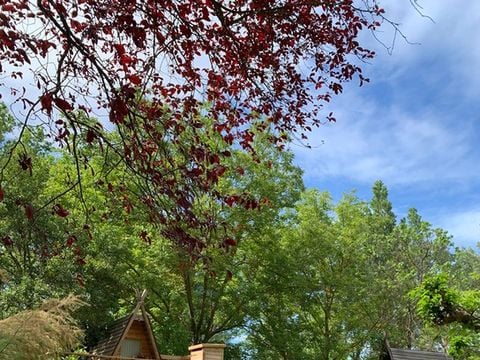 CHALET 2 personnes - Cabane perchée source - sans douche - avec wc et cuisine