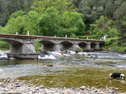 Camping des Drouilhèdes - Camping Gard - Image N°30
