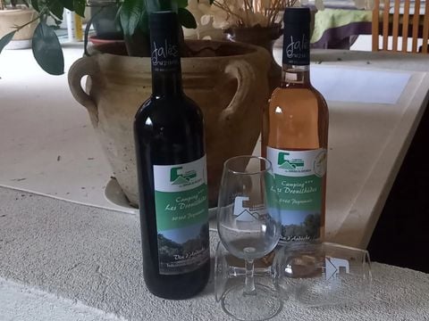 Camping des Drouilhèdes - Camping Gard