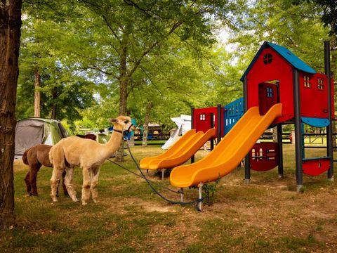 Camping des Drouilhèdes - Camping Gard - Image N°12