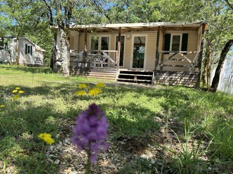 MOBILHOME 4 personnes - Loggia Confort - Climatisation - TV vue jardin