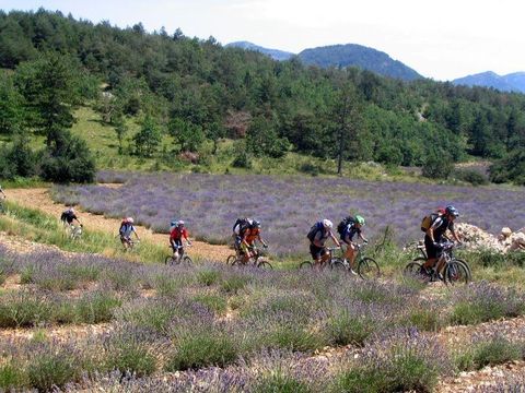 Camping Les Princes D'Orange - Camping Hautes-Alpes - Image N°29