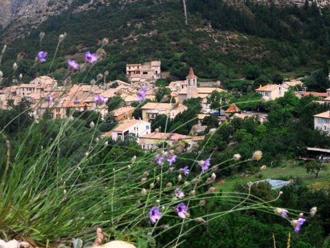 Camping Les Princes D'Orange - Camping Hautes-Alpes - Image N°38