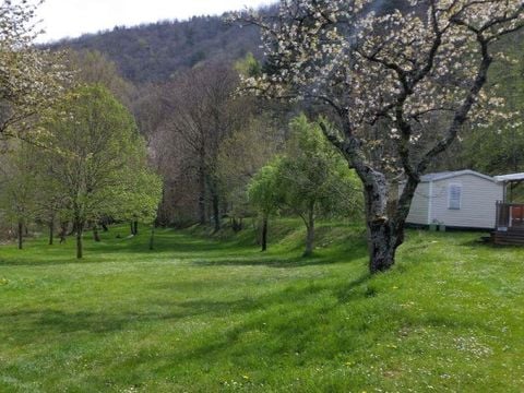 Mobilhome 2/3 personnes - Astria Standard 16 m² - 1 chambre - Terrasse couverte - TV
