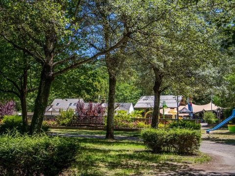 Flower Camping Le Pont du Tarn - Camping Lozere - Image N°14