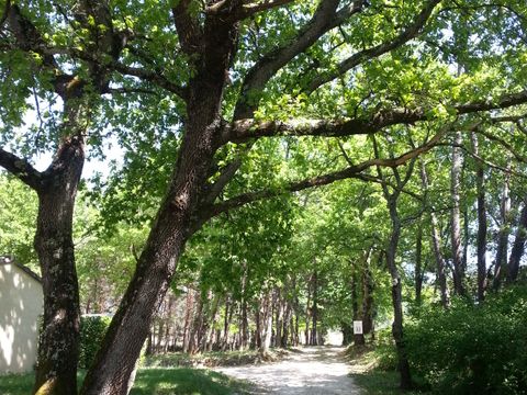 Camping Parc Saint Sauvayre - Camping Ardèche - Image N°14