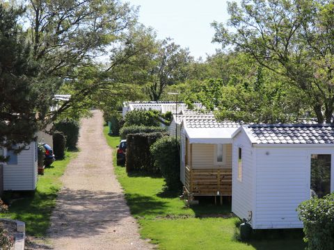 Camping Carrefour De L'Ardèche - Camping Ardèche - Image N°5