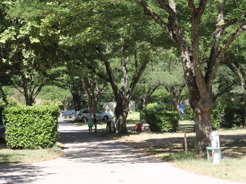 Emplacement - Camping (Tente + véhicule)