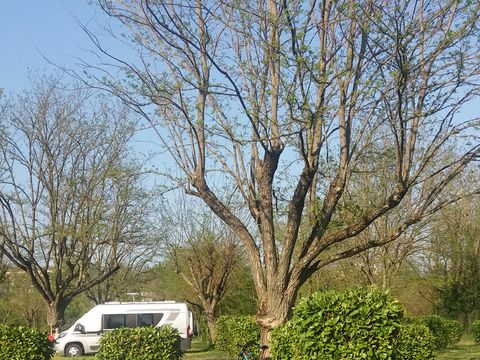 Emplacement - Camping Car-Van-Caravane