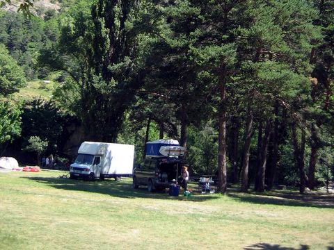 Camping Le Bois des Hoches - Camping Alpes-de-Haute-Provence - Image N°2