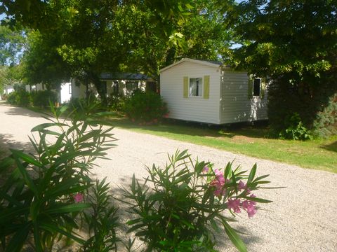 Flower Camping Les Paillotes en Ardeche - Camping Ardeche - Image N°55