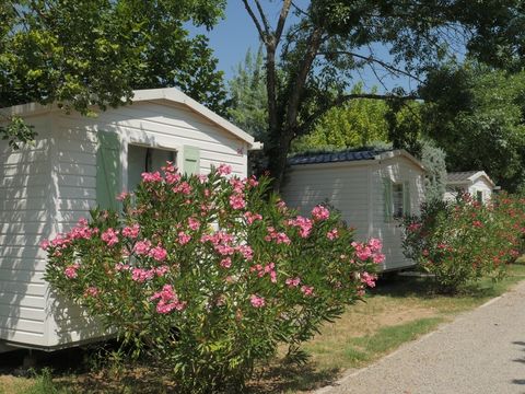 Flower Camping Les Paillotes en Ardeche - Camping Ardeche - Image N°10