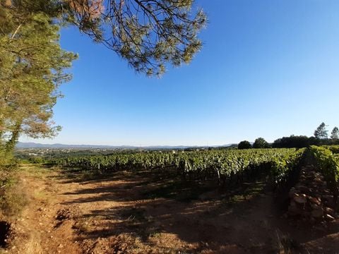 Camping Du Vignal - Camping Ardèche - Image N°5