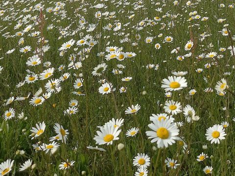 Camping Le Valenty - Camping Lot - Image N°45