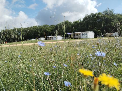 Camping Le Valenty - Camping Lot - Image N°9