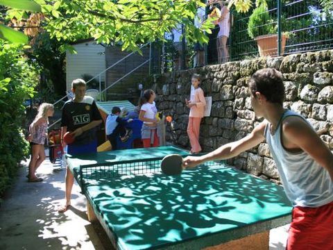 Camping Les Châtaigniers - Camping Ardeche - Image N°9