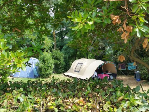 Emplacement - Emplacement Plus 60-75m² : voiture + tente/caravane ou camping-car + électricité 1 pers.