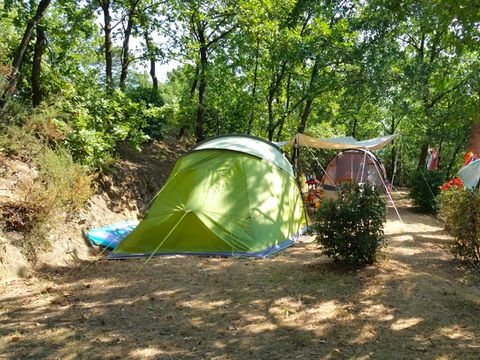 Emplacement - Emplacement Plus 60-75m² : voiture + tente/caravane ou camping-car + électricité 1 pers.