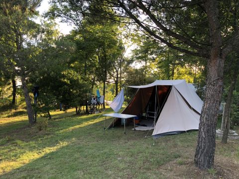 Emplacement - Maxi Emplacement 80-100m² : voiture + tente/caravane ou camping-car + électricité 1 pers.