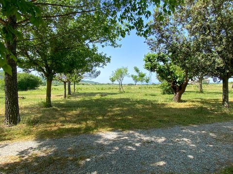 Camping Le Bardou - Camping Ardeche - Image N°10
