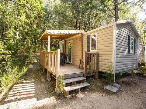 MOBILHOME 4 personnes - Cottage Privilège Frêne Foret 2 ch.