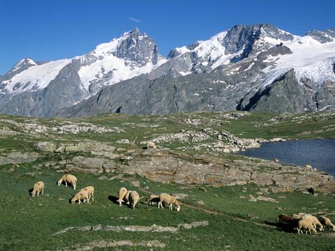 Camping Alpes Dauphine - Camping Hautes-Alpes - Image N°70