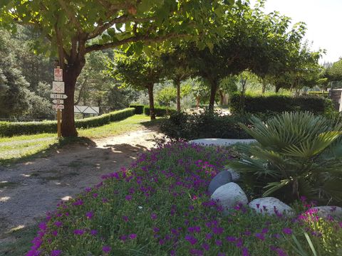 Camping Ushuaïa Villages Les Pins d'Ucel - Camping Ardèche - Image N°31