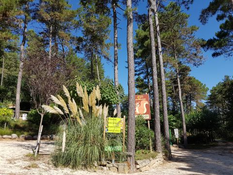 Camping Ushuaïa Villages Les Pins d'Ucel - Camping Ardèche - Image N°30