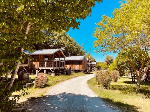 Lodge 4 personnes - Lodge Feroe 20m² (1 chambre) Climatisation