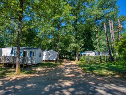 Flower Camping les Nauves - Camping Dordoña - Image N°27