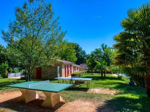 Flower Camping les Nauves - Camping Dordoña - Image N°12