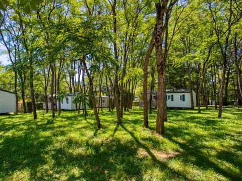 Flower Camping les Nauves - Camping Dordoña - Image N°18