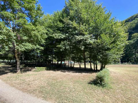 Emplacement - Emplacement + 1 voiture + tente ou caravane
