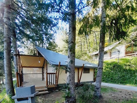 TENTE 4 personnes - Standard Lodge Jungle - Sans sanitaires