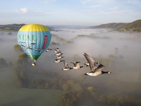 Flower Camping Le Belvédère - Camping Cantal - Image N°45