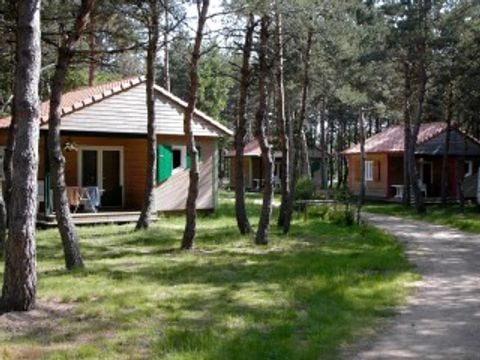 CHALET 4 personnes - CHALET SANS TV 4/6 PERS GL + SUP