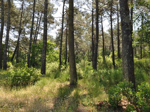 Camping Lodging Le Lac - Camping Gironde